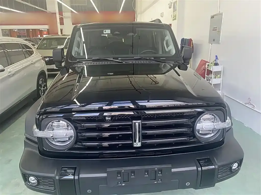 [object Object] Tank 300 2021 из CN, фото 3