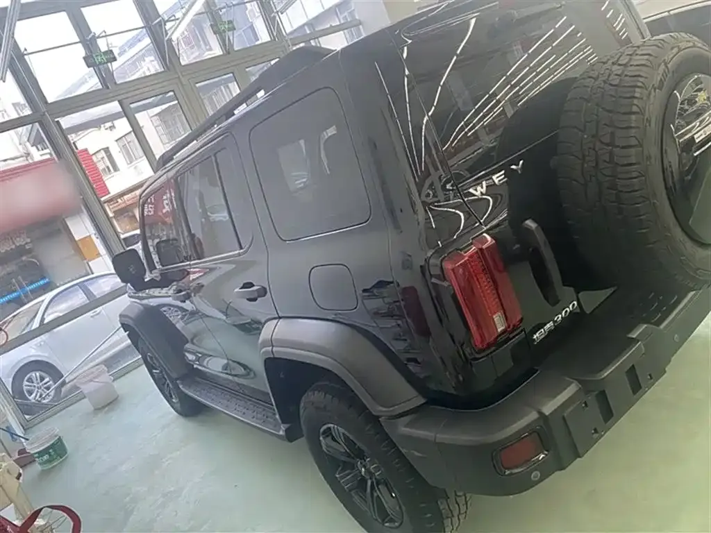 [object Object] Tank 300 2021 из CN, фото 6