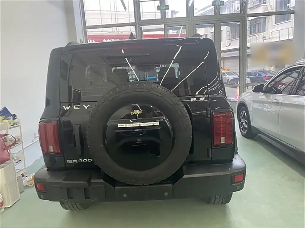 [object Object] Tank 300 2021 из CN, фото 7