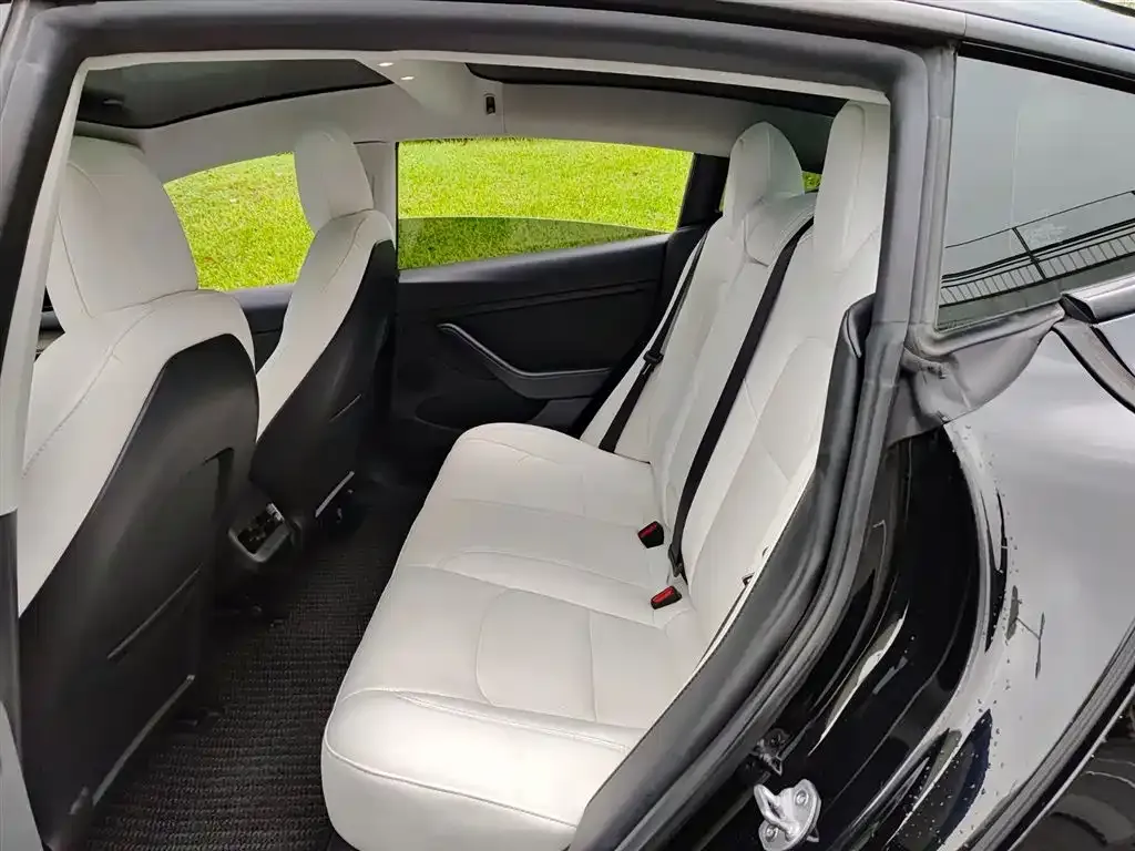 Tesla Model 3 2022 из CN, фото 8