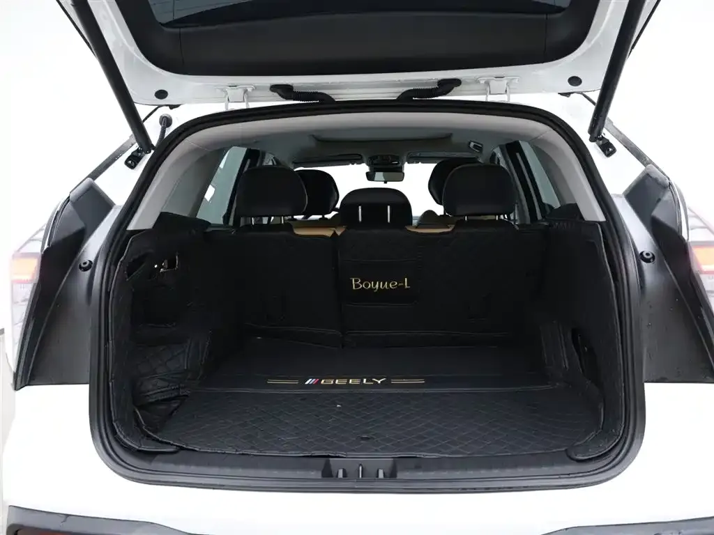 [object Object] Boyue L 2023 из CN, фото 6