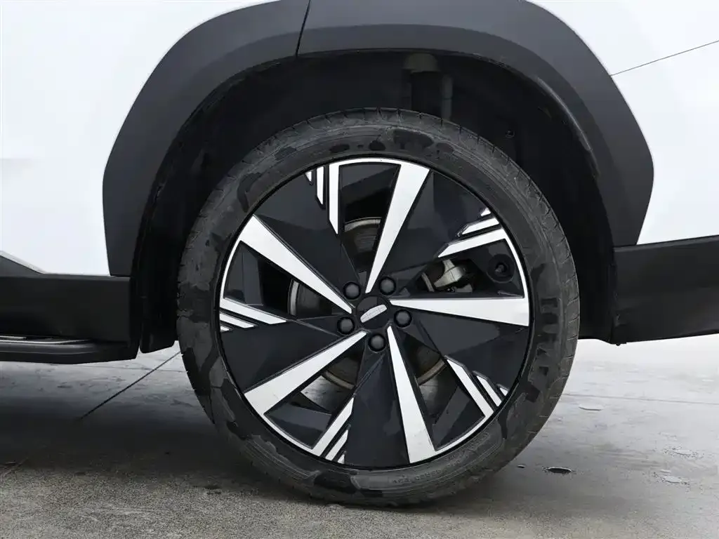 [object Object] Boyue L 2023 из CN, фото 7