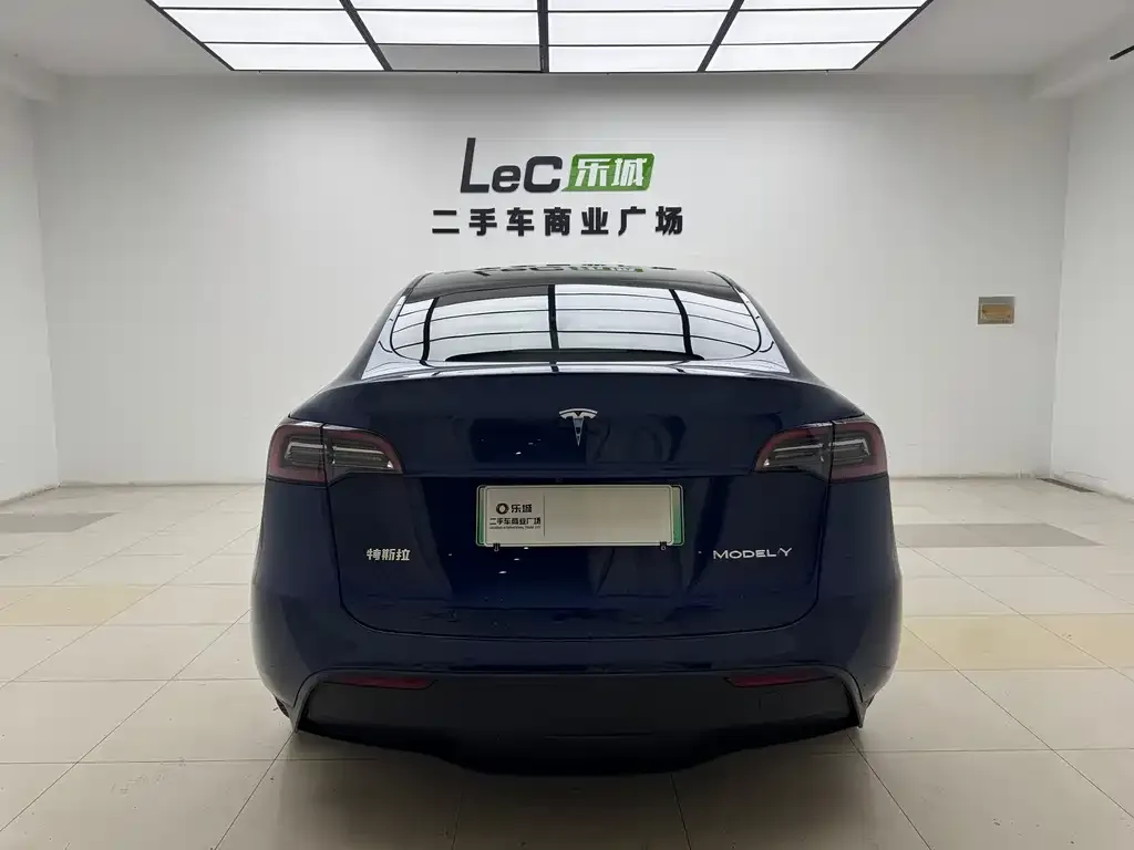 Tesla Model Y 2023 из CN, фото 6