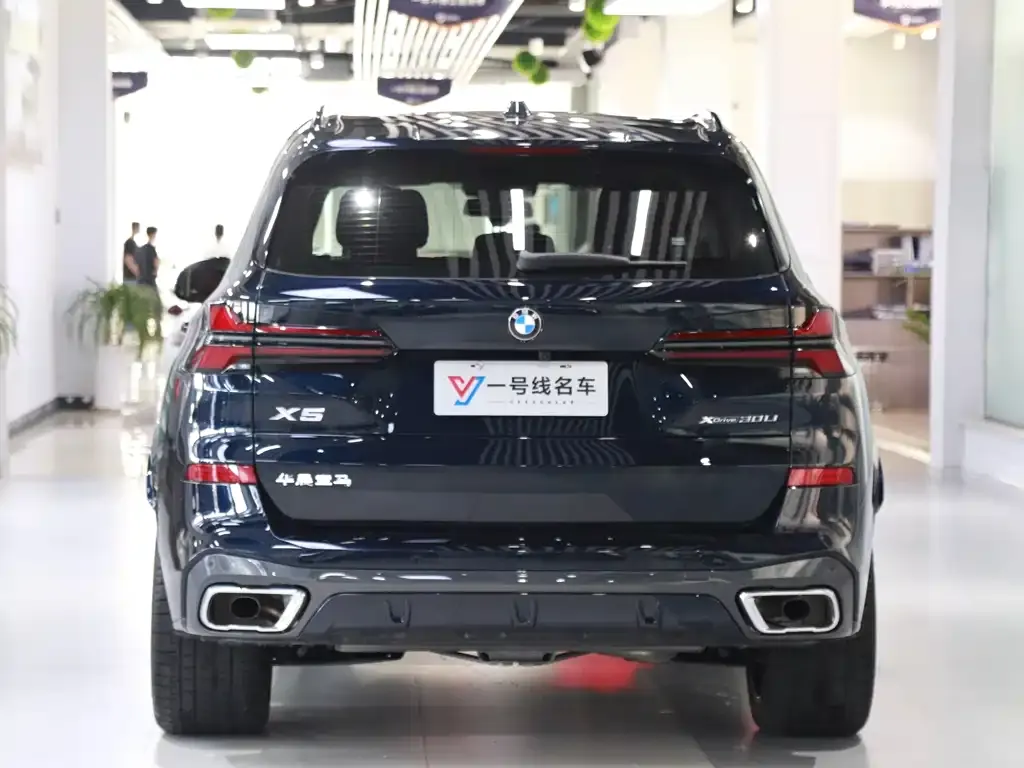 BMW X5 2024 из CN, фото 5
