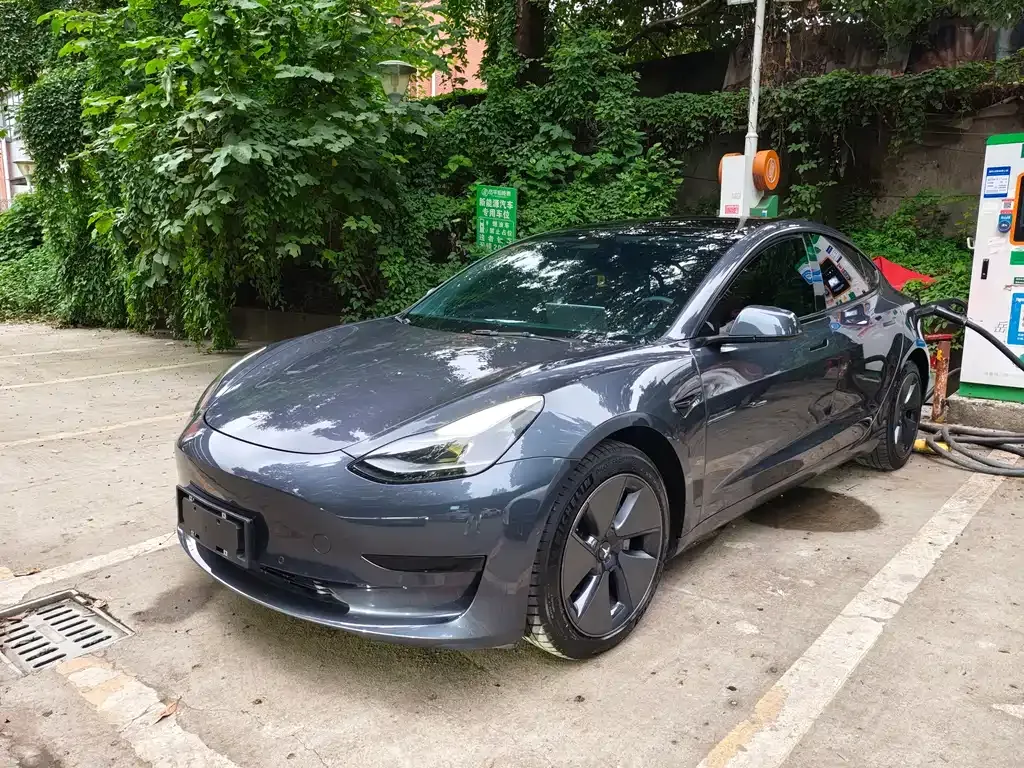 Tesla Model 3 2021 из CN, фото 1
