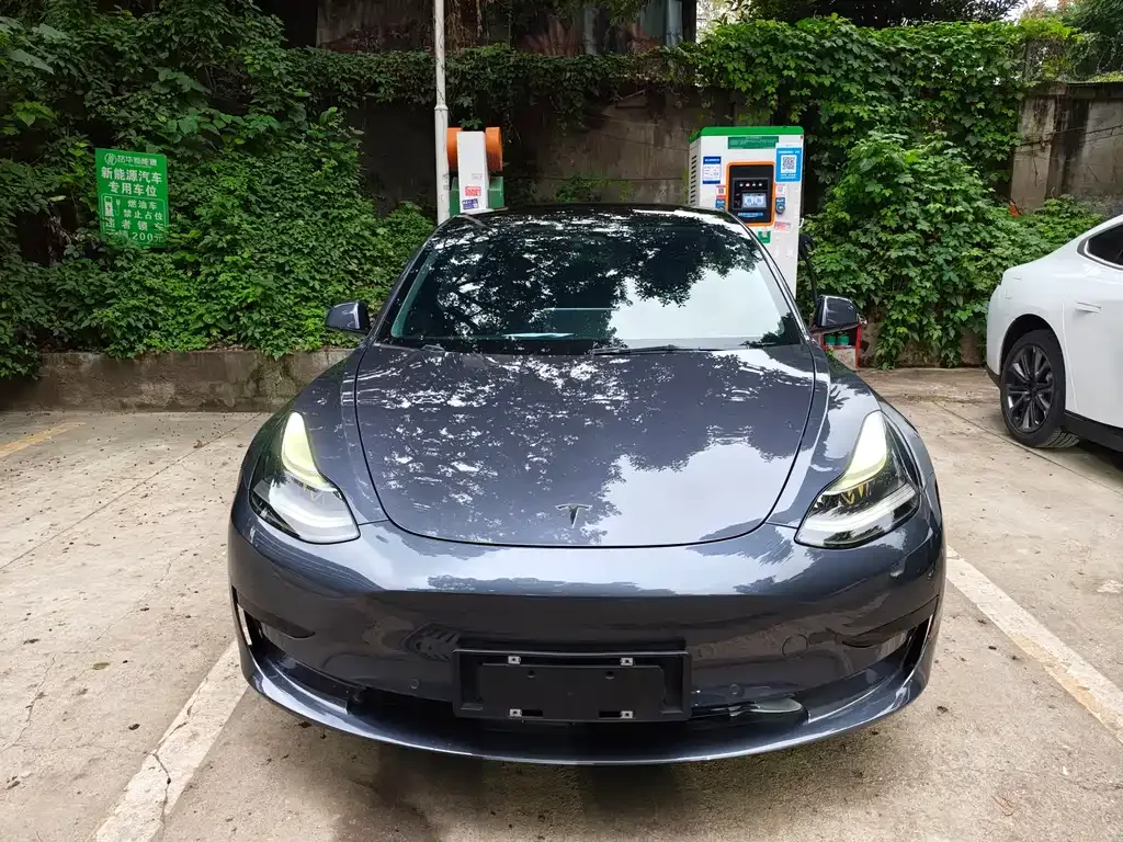 Tesla Model 3 2021 из CN, фото 2