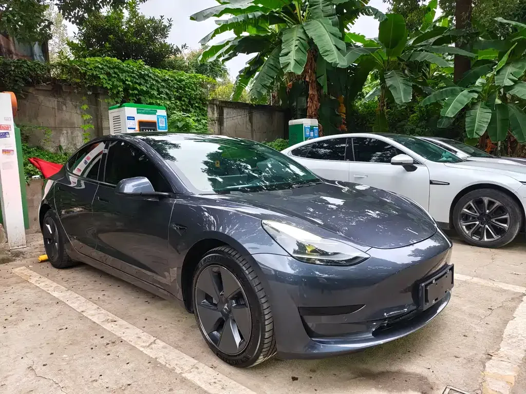 Tesla Model 3 2021 из CN, фото 3