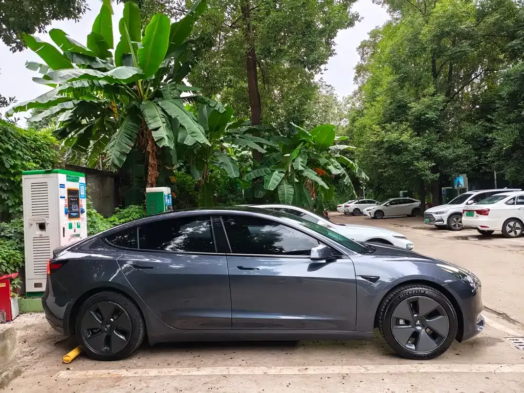 Tesla Model 3 2021 из CN, фото 4