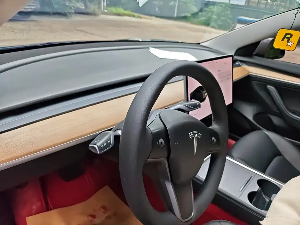 Tesla Model 3 2021 из CN, фото 9