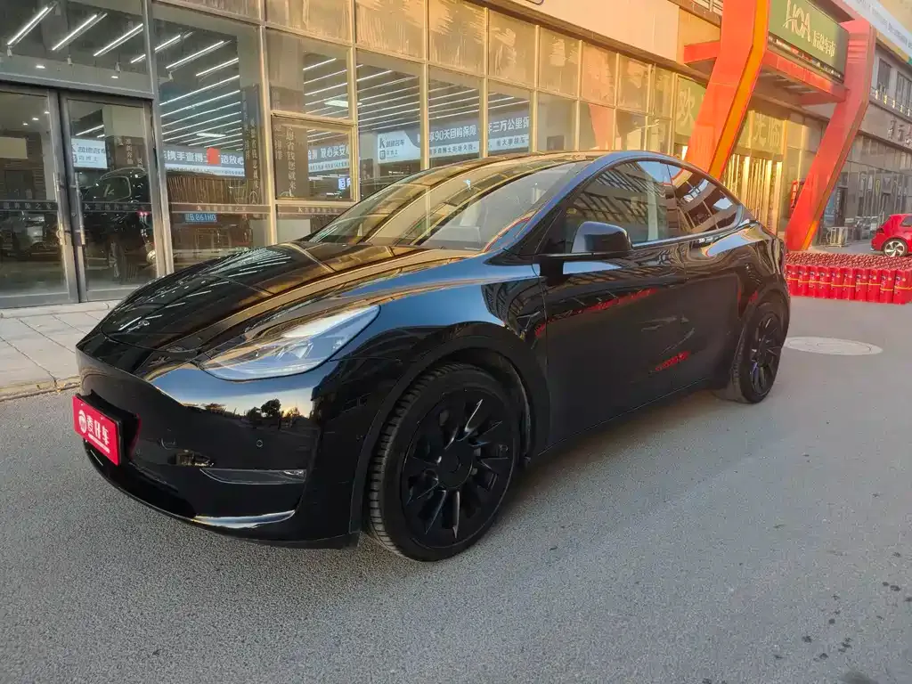 Tesla Model Y 2021 из CN, фото 1
