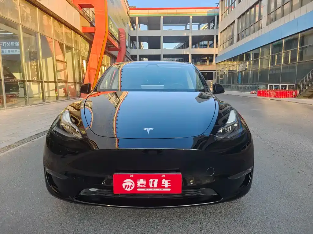 Tesla Model Y 2021 из CN, фото 2