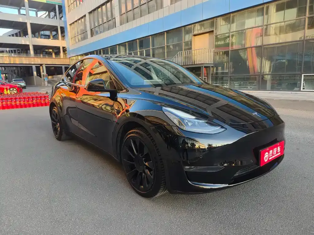 Tesla Model Y 2021 из CN, фото 3