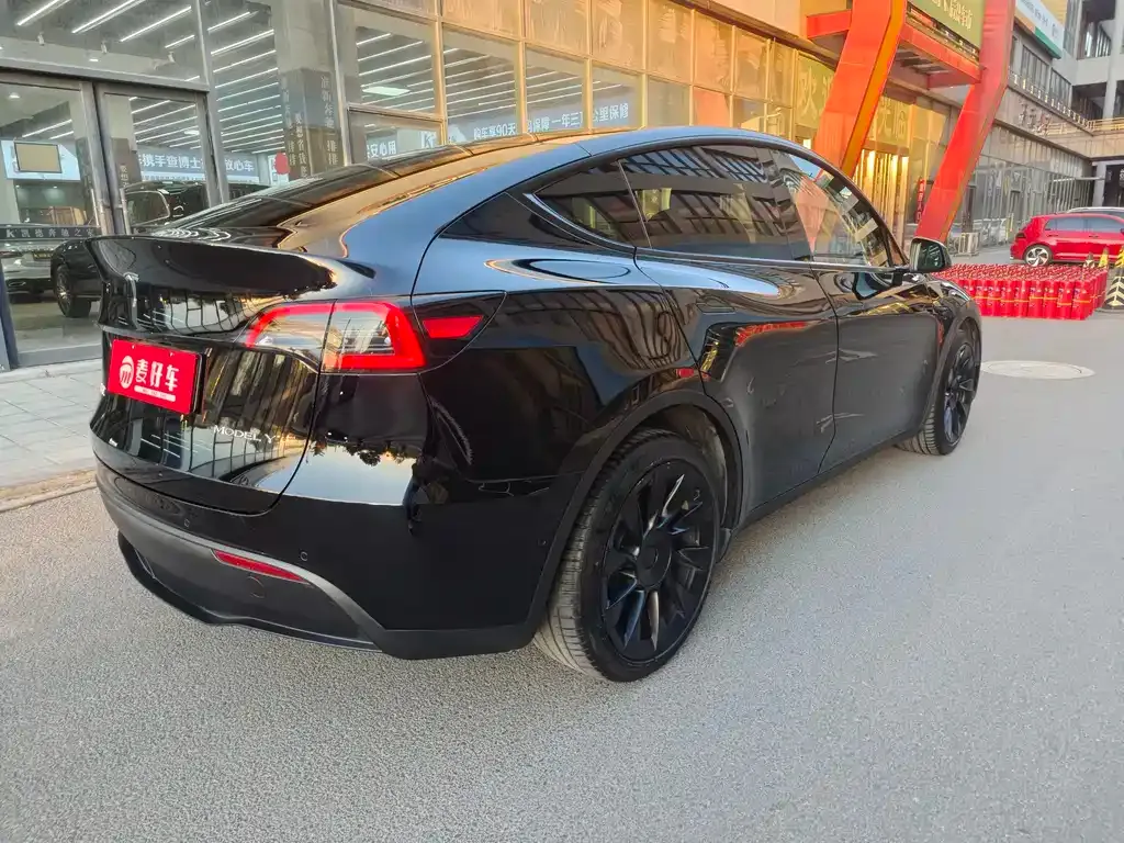 Tesla Model Y 2021 из CN, фото 4