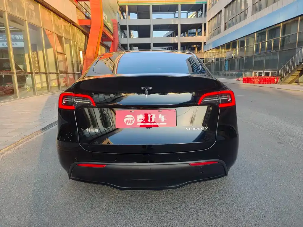Tesla Model Y 2021 из CN, фото 5