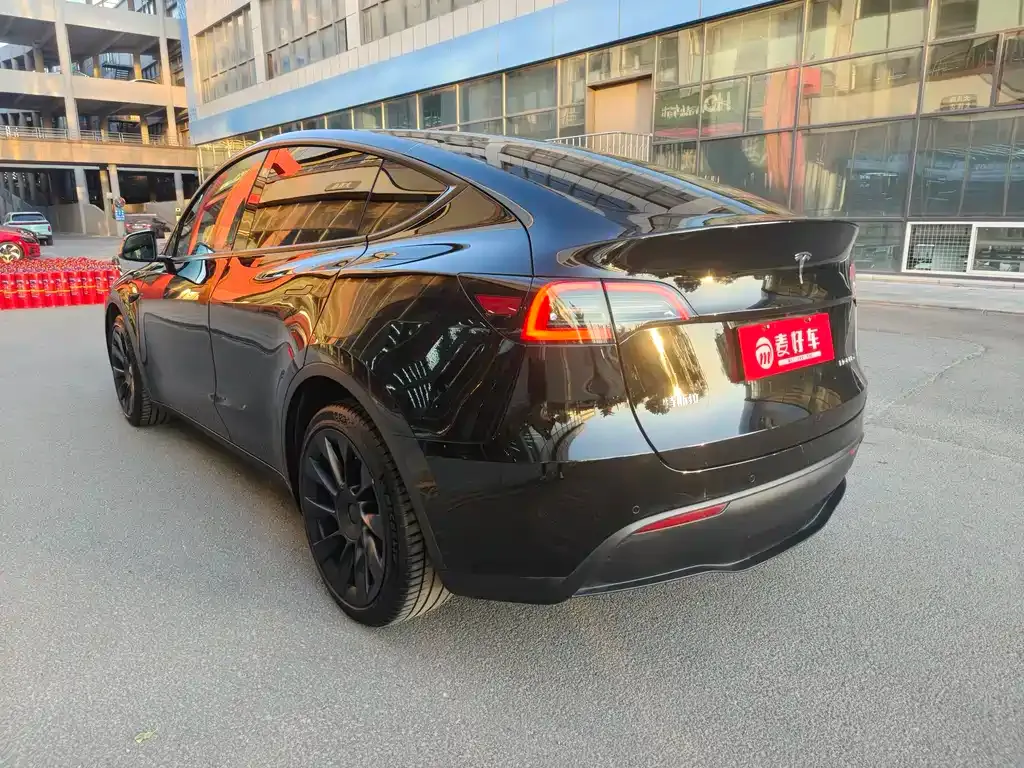 Tesla Model Y 2021 из CN, фото 6