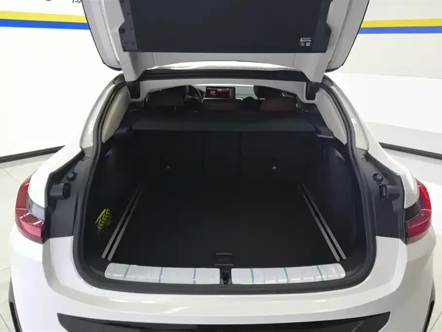 BMW X4 2024 из CN, фото 4