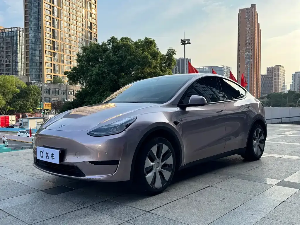 Tesla Model Y — фото 1