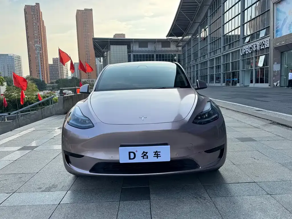 Tesla Model Y — фото 2