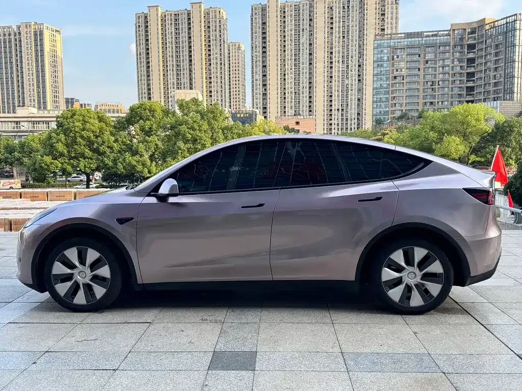 Tesla Model Y — фото 3