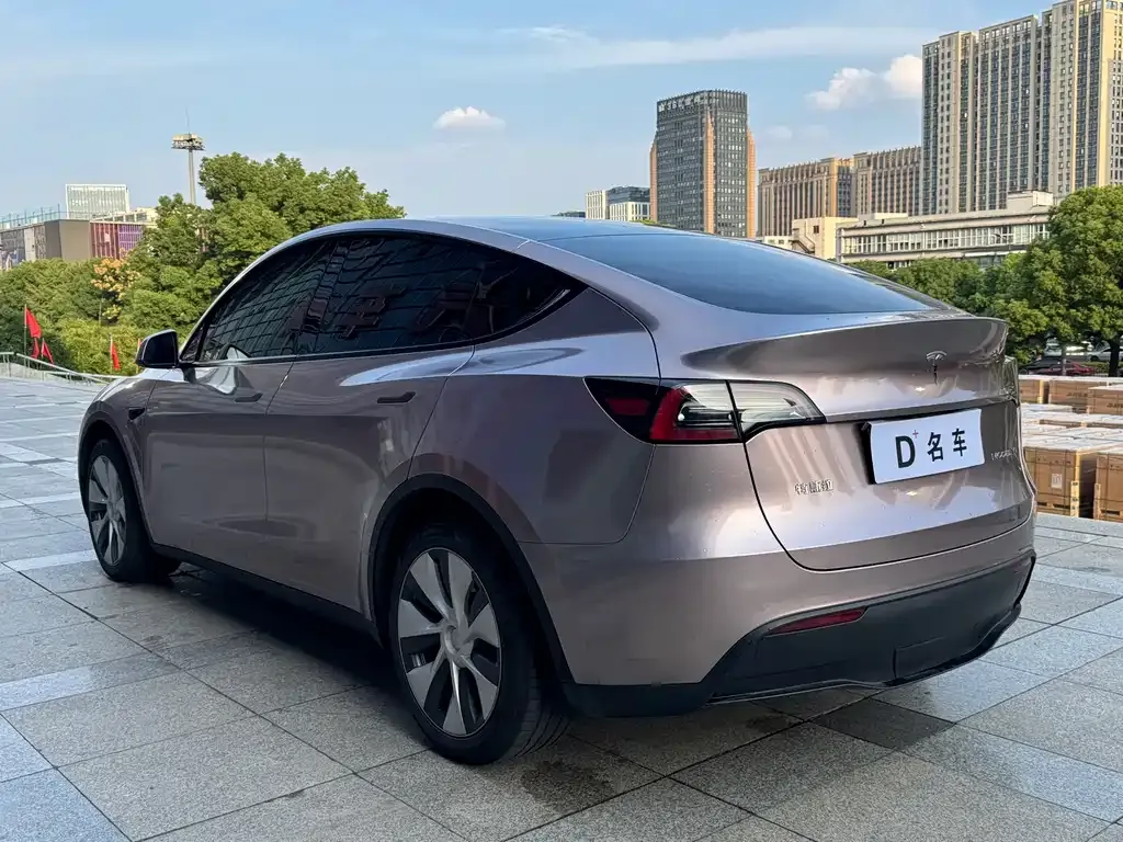 Tesla Model Y — фото 6