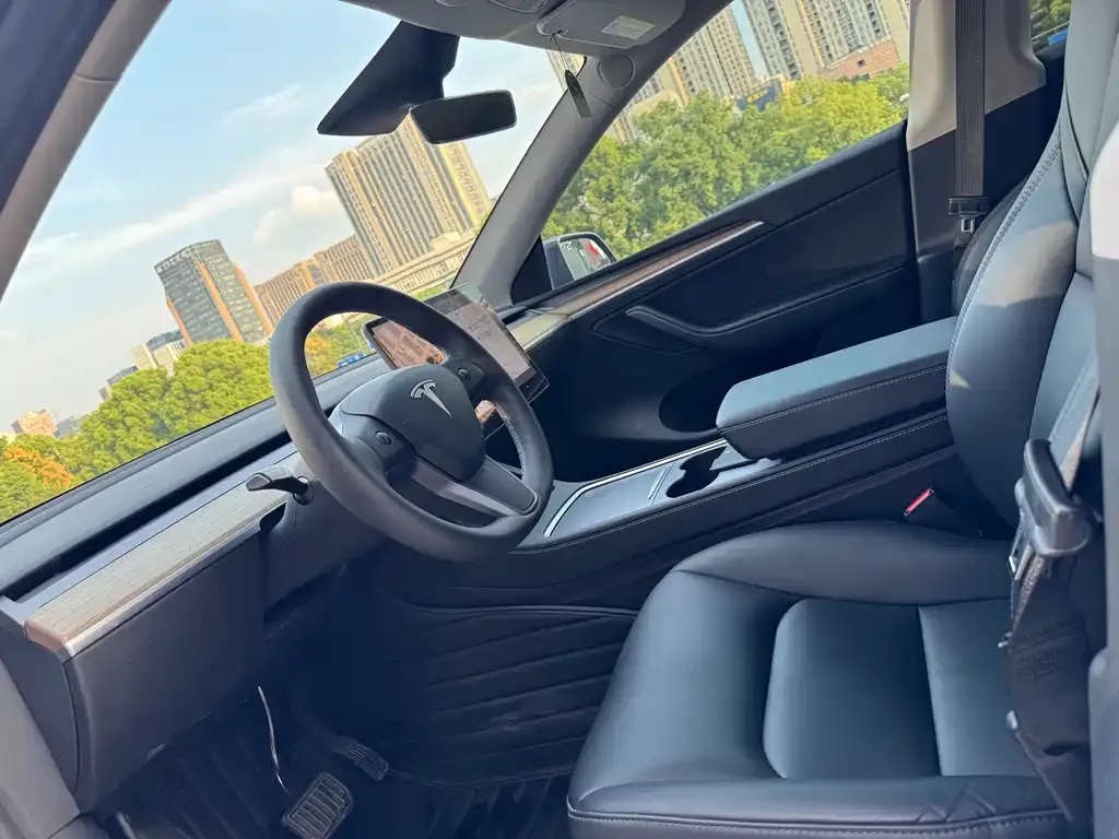 Tesla Model Y — фото 9