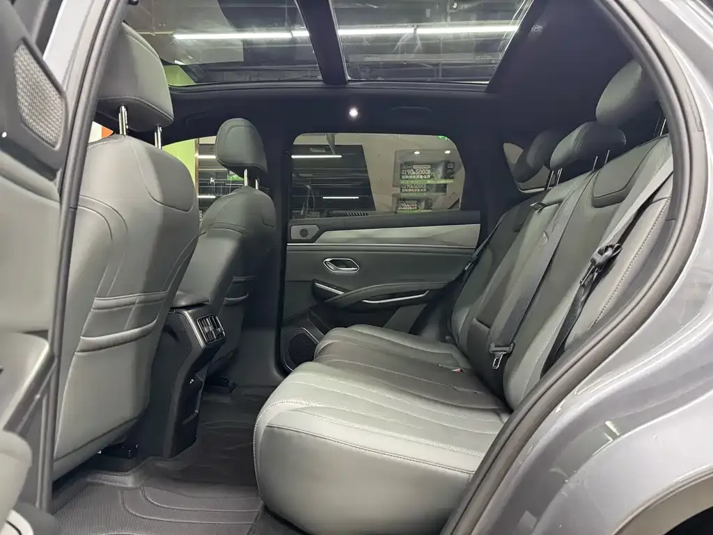 BYD L DM-i — фото 9
