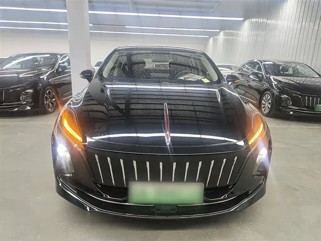 Hongqi E-QM5 — фото 3