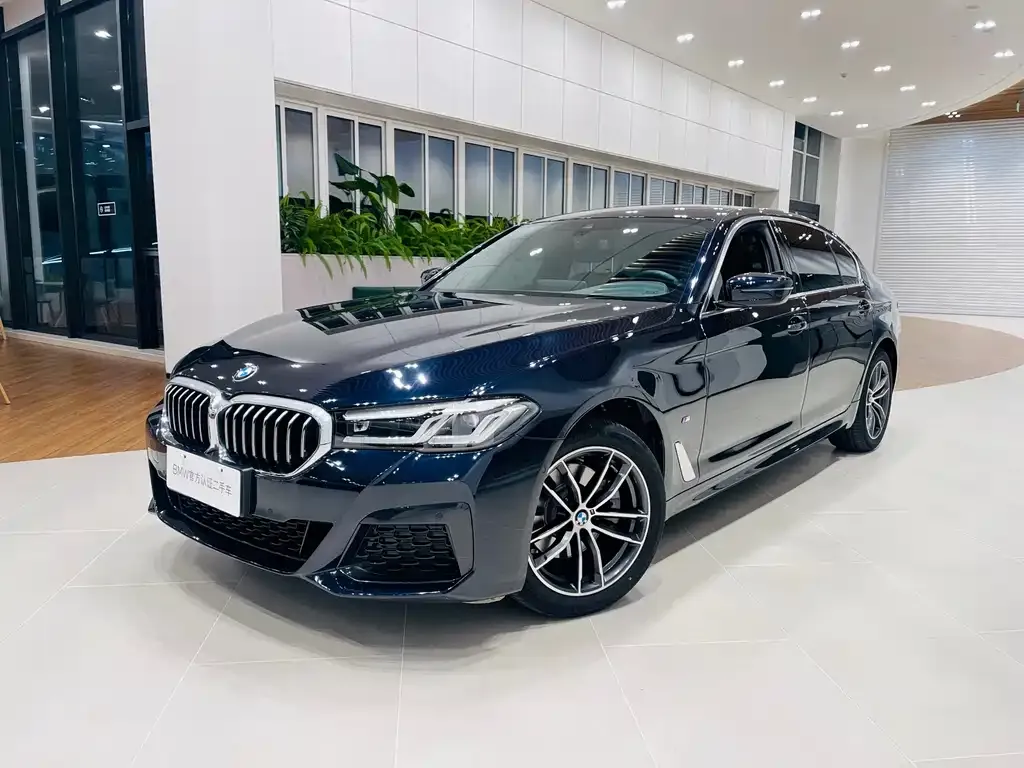BMW 5 Series 2024 из CN, фото 1