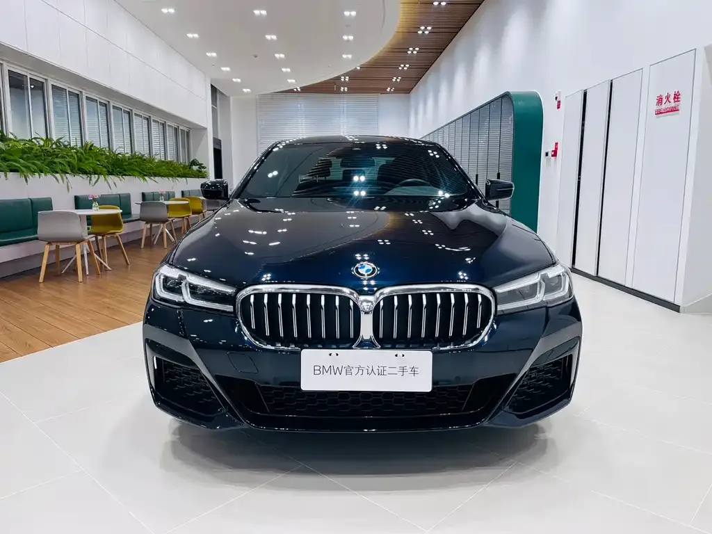 BMW 5 Series 2024 из CN, фото 2
