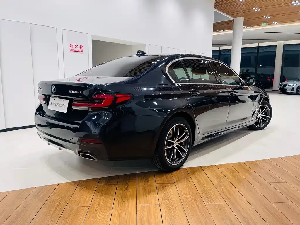 BMW 5 Series 2024 из CN, фото 4