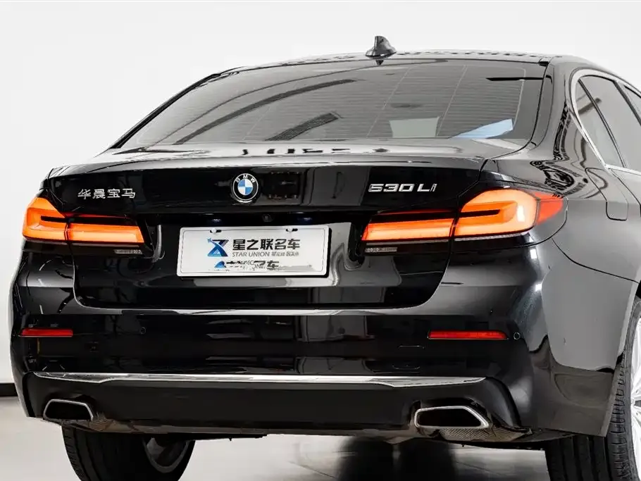 BMW 5 Series 2022 из CN, фото 8
