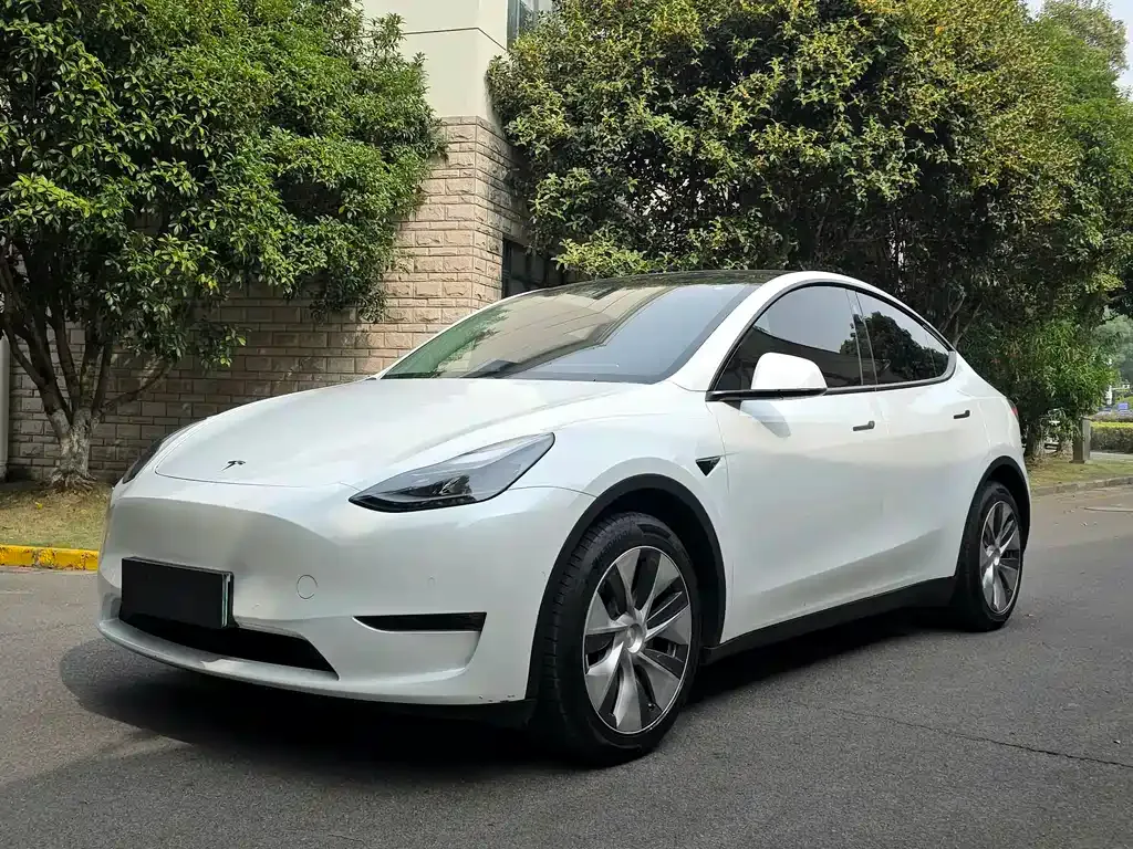 Tesla Model Y 2021 из CN, фото 1