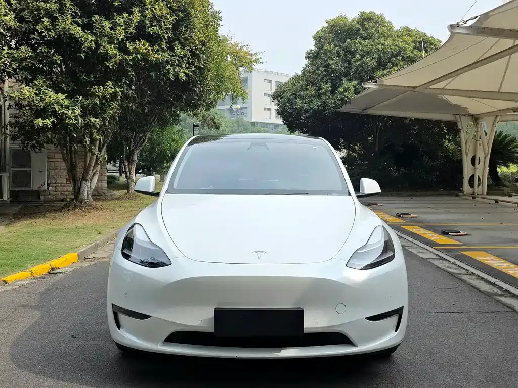 Tesla Model Y 2021 из CN, фото 2