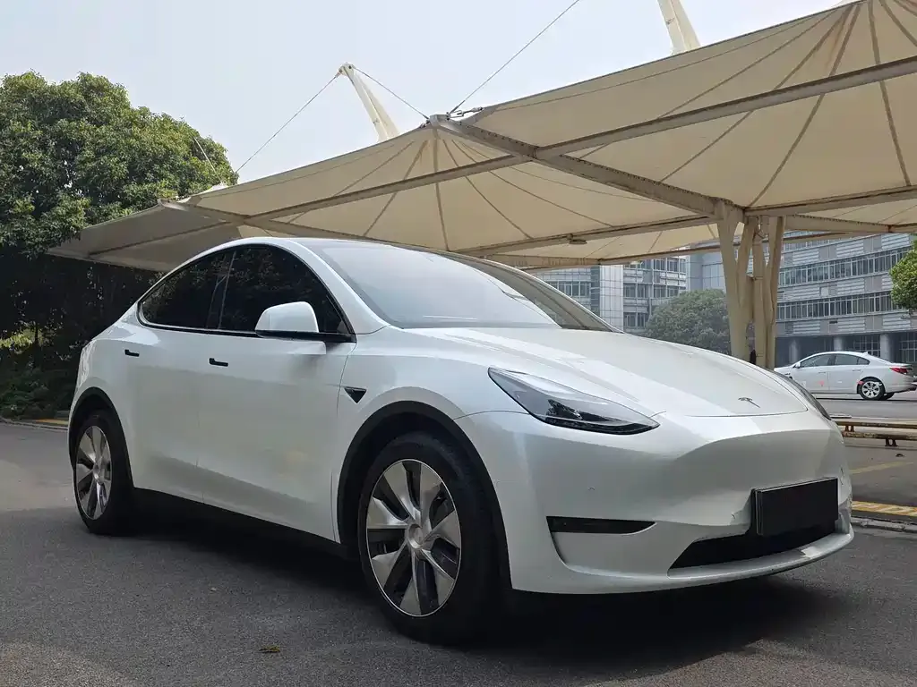 Tesla Model Y 2021 из CN, фото 3