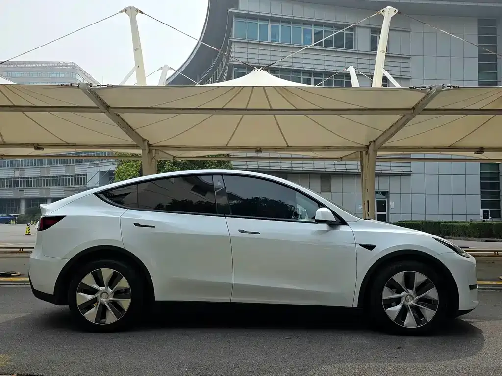 Tesla Model Y 2021 из CN, фото 4