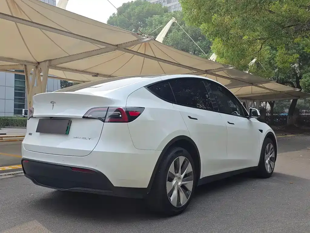 Tesla Model Y 2021 из CN, фото 5