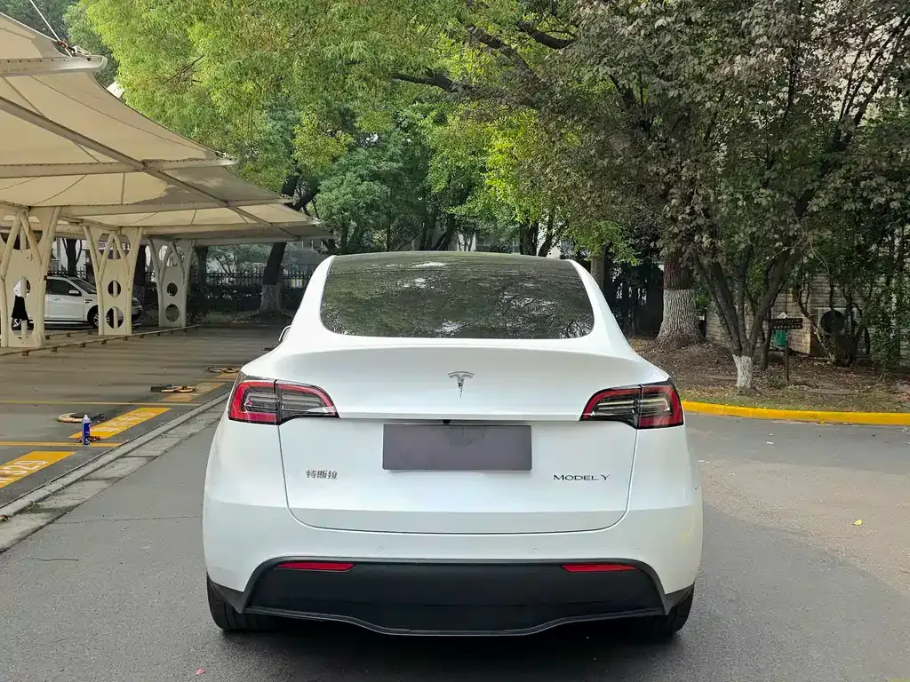 Tesla Model Y 2021 из CN, фото 6
