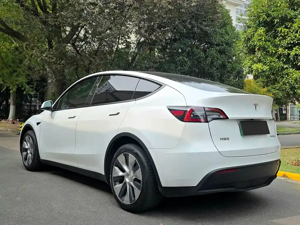 Tesla Model Y 2021 из CN, фото 7
