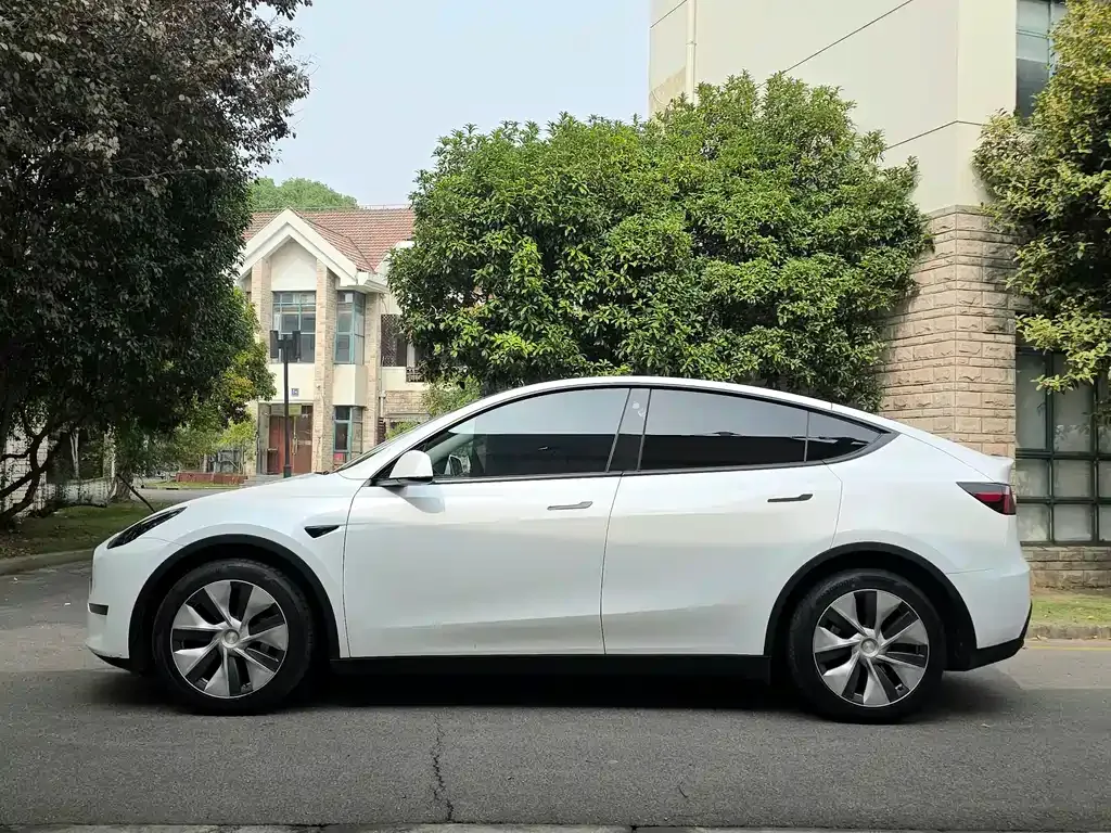 Tesla Model Y 2021 из CN, фото 8