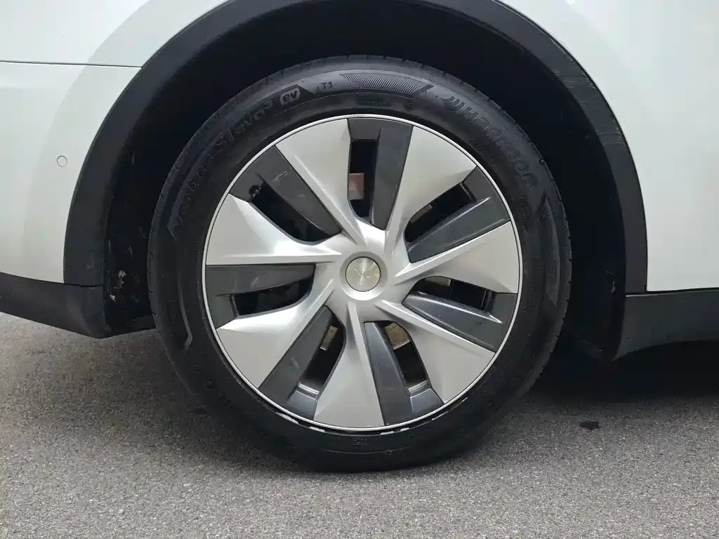 Tesla Model Y 2021 из CN, фото 9