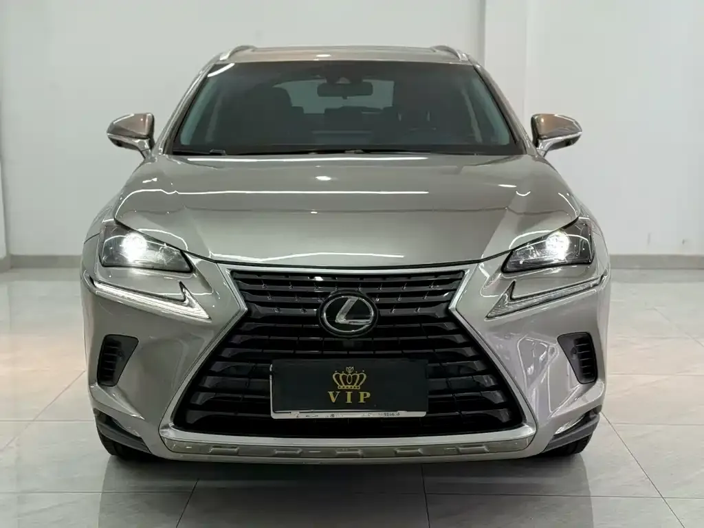 Lexus NX 2021 из CN, фото 2
