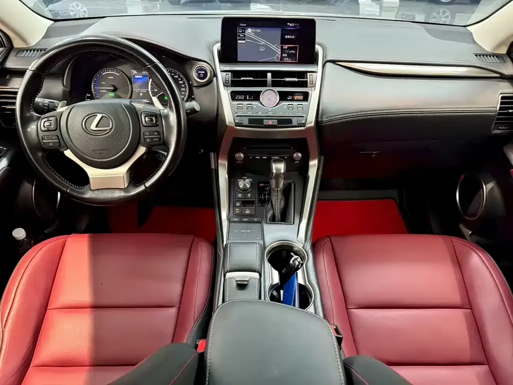 Lexus NX 2021 из CN, фото 4