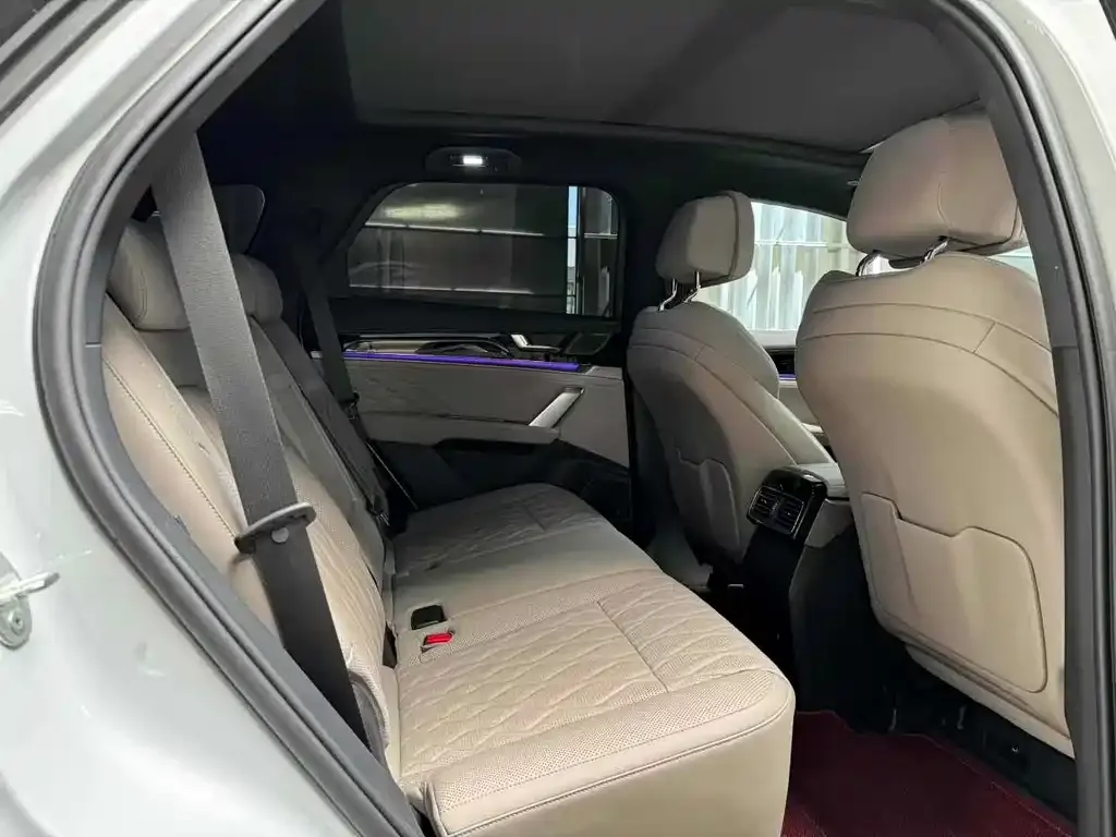 BYD Tang New Energy 2025 из CN, фото 9