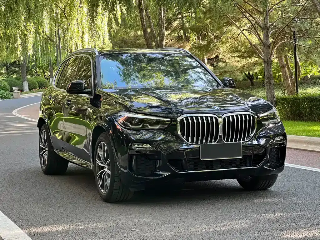 [object Object] X5 (Import) 2021 из CN, фото 7