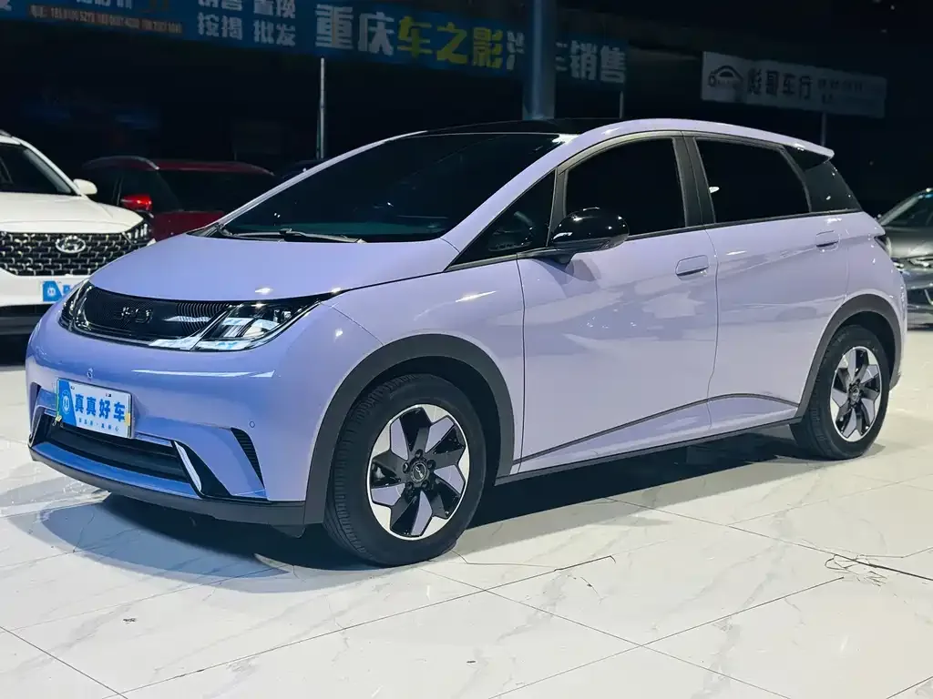 BYD Dolphin 2024 из CN, фото 1