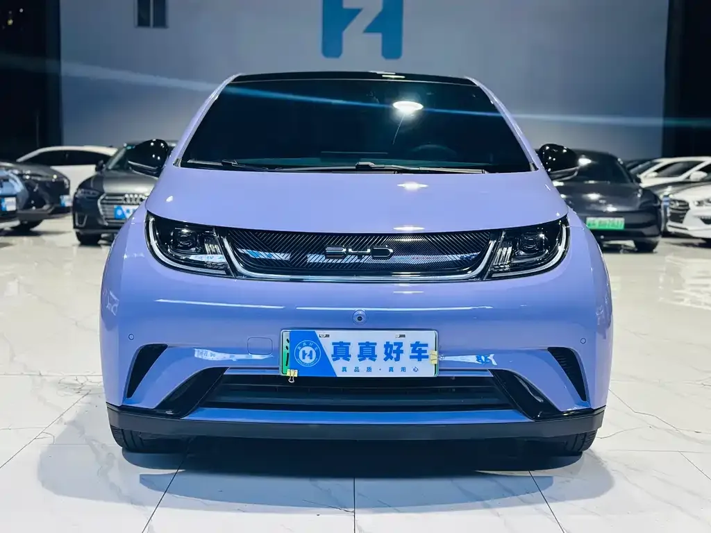 BYD Dolphin 2024 из CN, фото 2