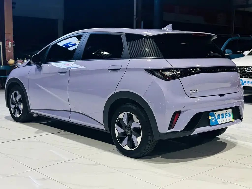 BYD Dolphin 2024 из CN, фото 8