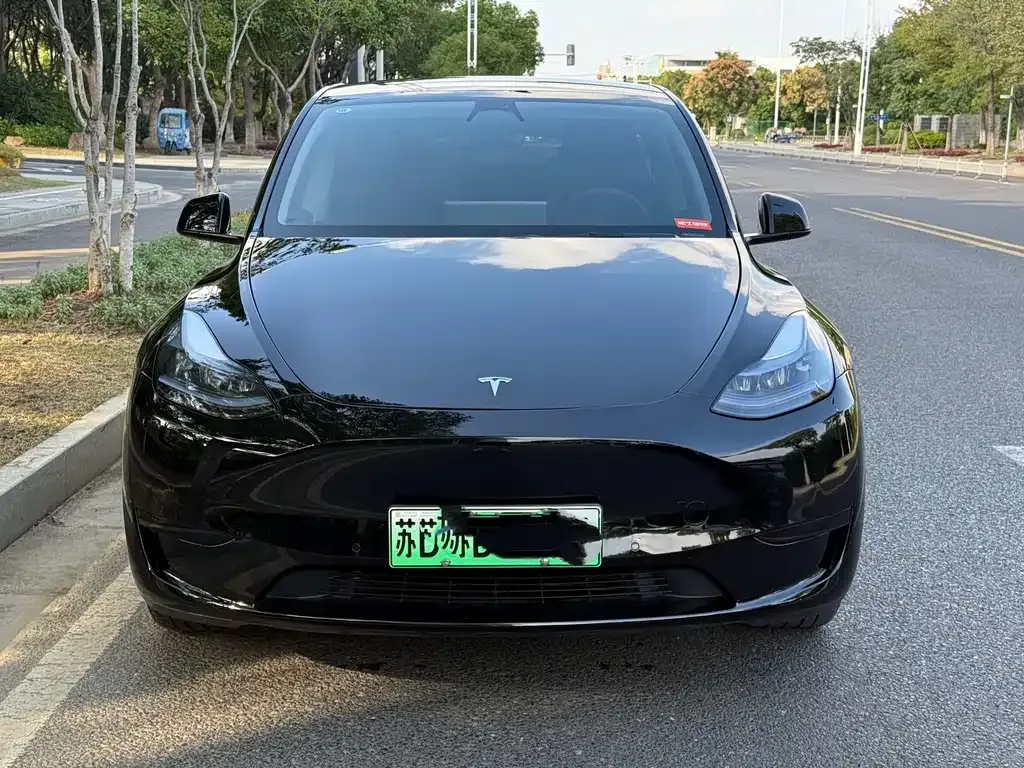 [object Object] Model Y 2024 из CN, фото 2