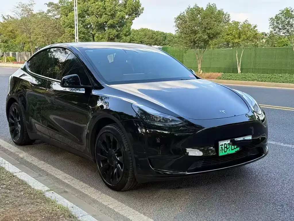 [object Object] Model Y 2024 из CN, фото 3