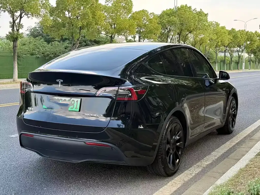 [object Object] Model Y 2024 из CN, фото 4